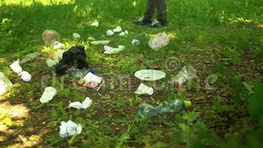 志愿者在暑期公园捡拾塑料垃圾.. 生态概念